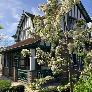 Bed & Breakfast Tree & B